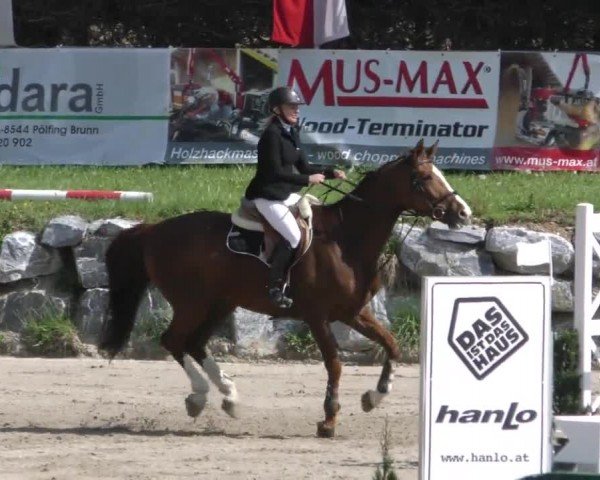 Reitturnier Preding 2022