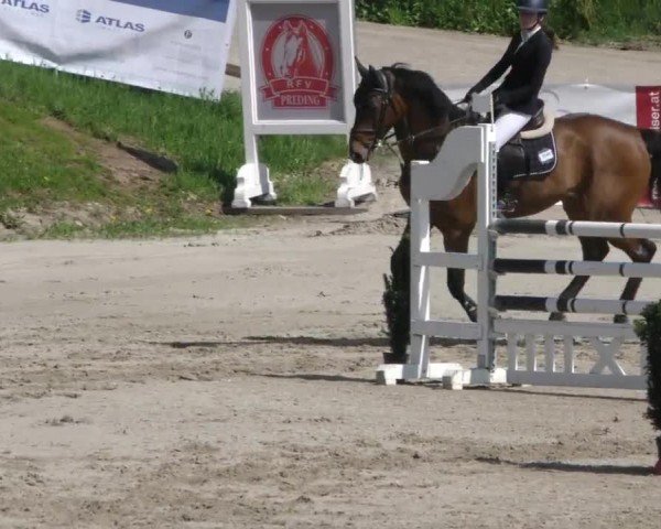 Reitturnier Preding 2022