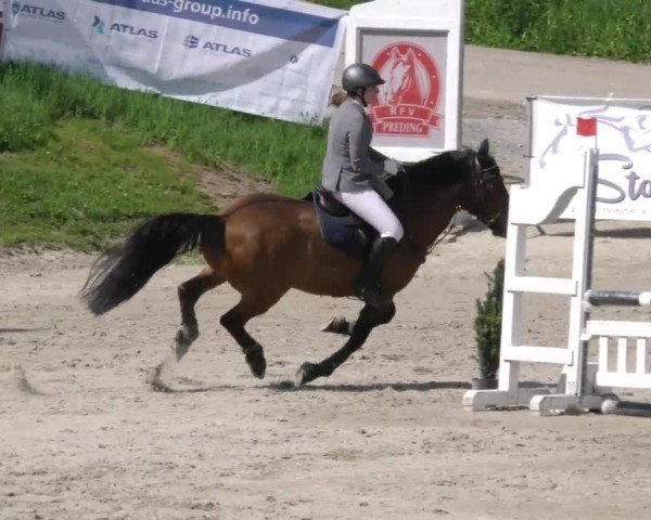 Reitturnier Preding 2022