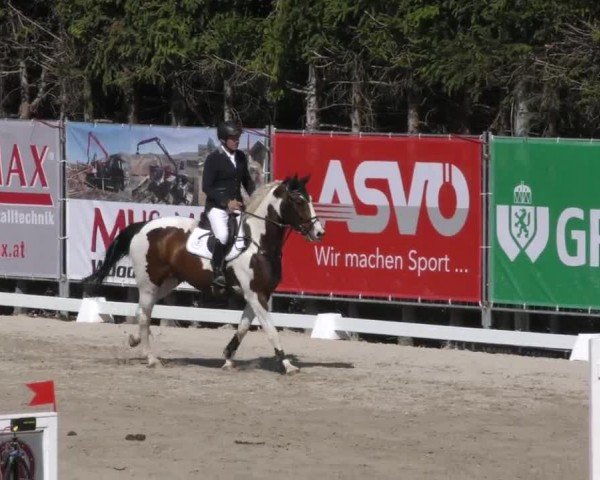 Reitturnier Preding 2022