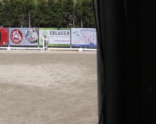 Reitturnier Preding 2022