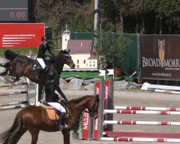 Reitturnier Preding 2022