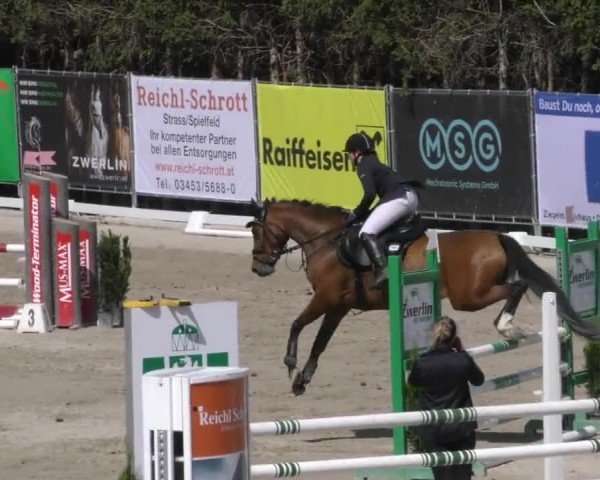 Reitturnier Preding 2022