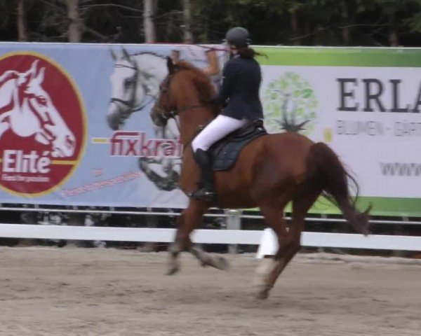 Reitturnier Preding 2022