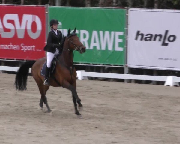 Reitturnier Preding 2022