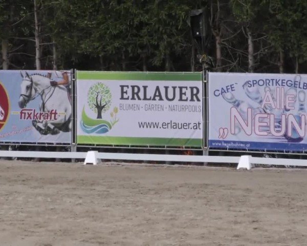 Reitturnier Preding 2022
