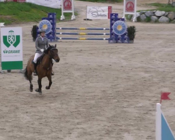 Reitturnier Preding 2022