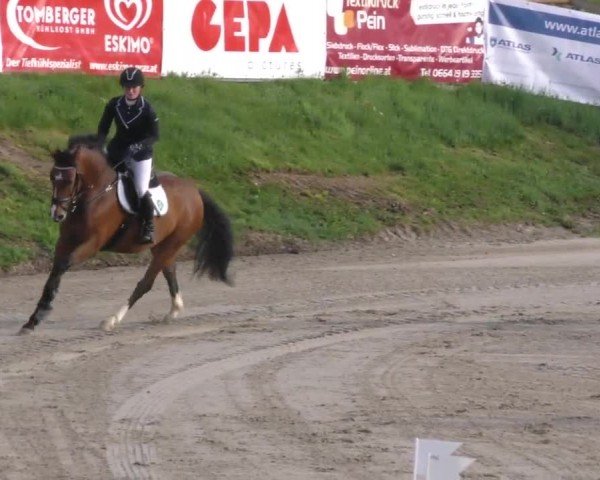 Reitturnier Preding 2022