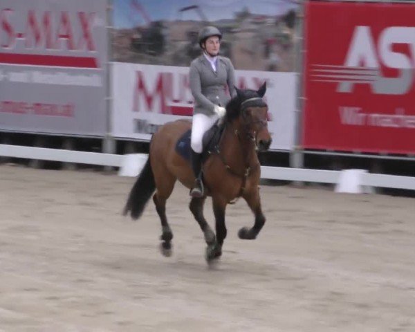 Reitturnier Preding 2022