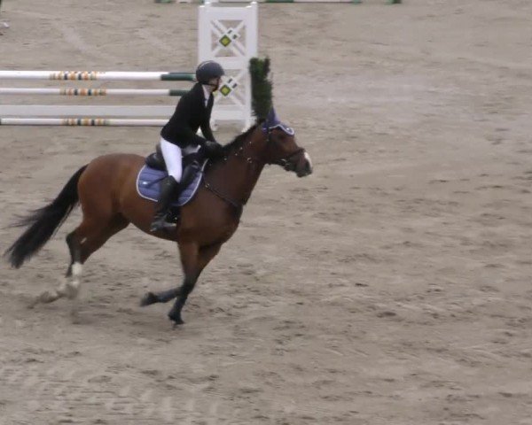 Reitturnier Preding 2022