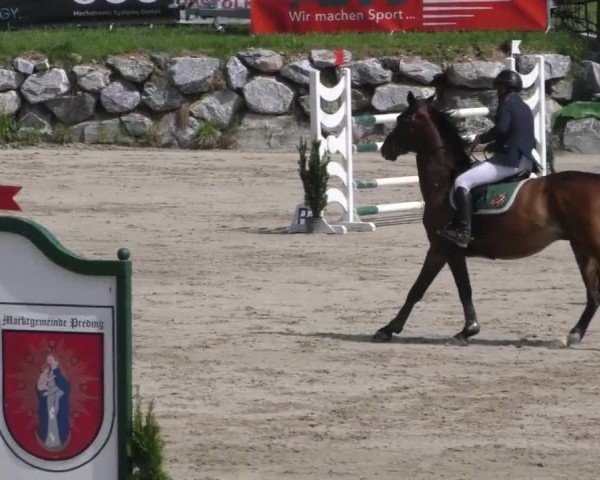 Reitturnier Preding 2022