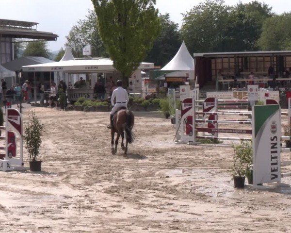 Reitturnier Hellefeld 2024