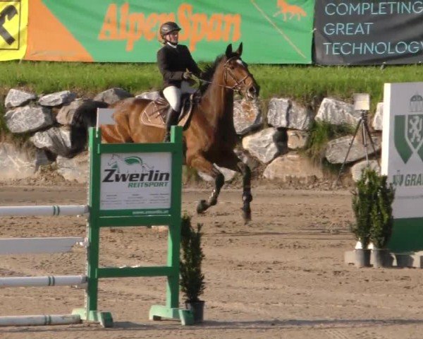 Reitturnier Preding 2022