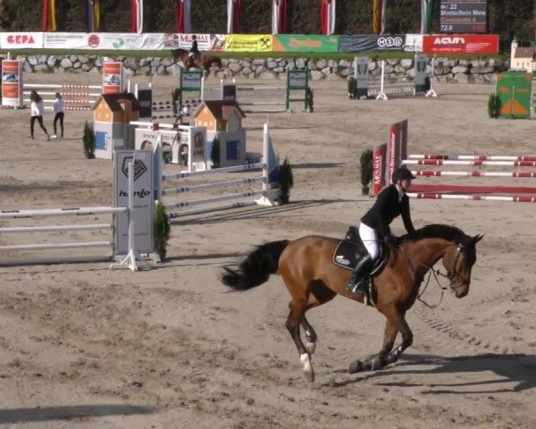 Reitturnier Preding 2022