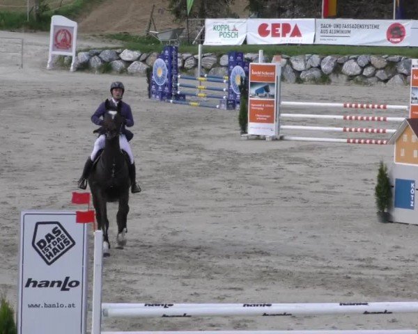 Reitturnier Preding 2022