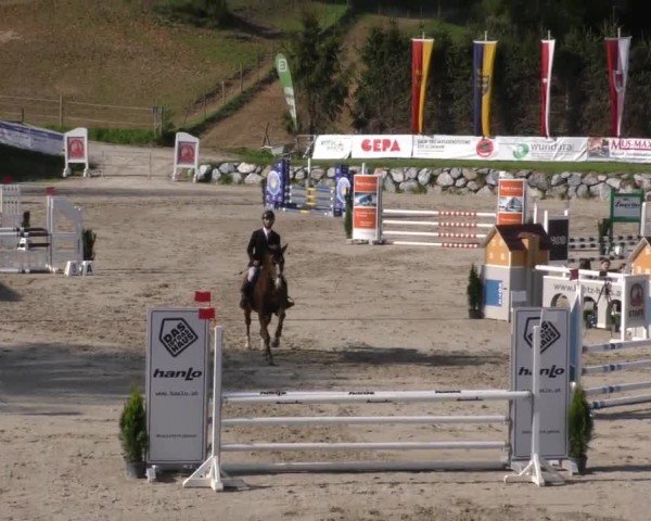 Reitturnier Preding 2022