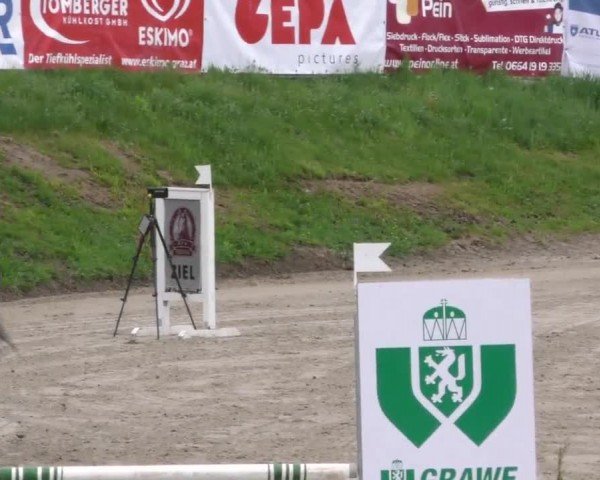 Reitturnier Preding 2022