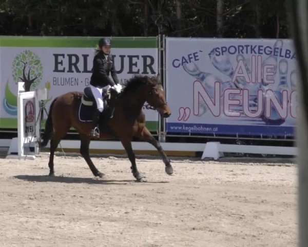 Reitturnier Preding 2022