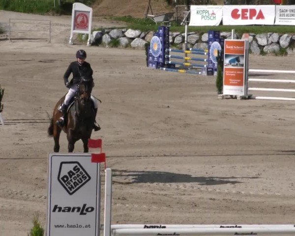 Reitturnier Preding 2022