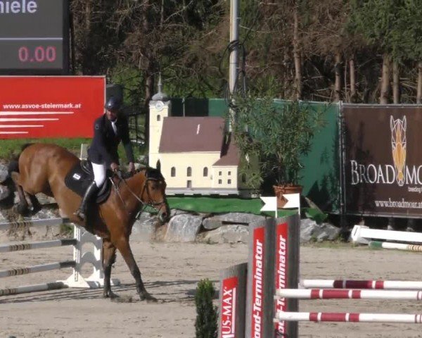 Reitturnier Preding 2022