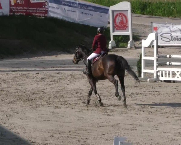 Reitturnier Preding 2022