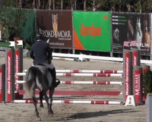 Reitturnier Preding 2022