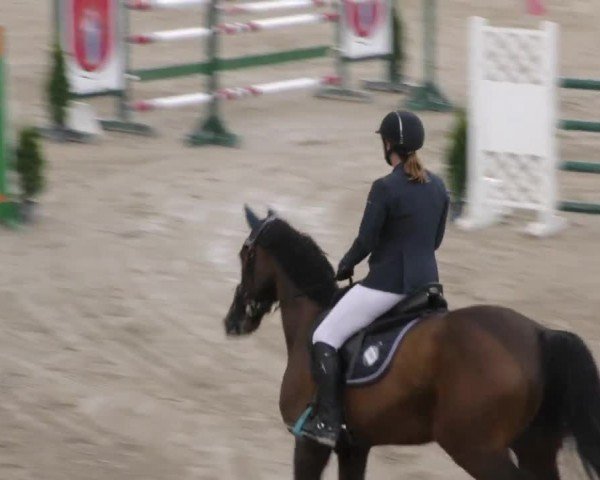 Reitturnier Preding 2022