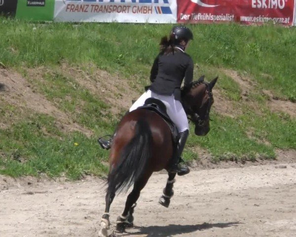 Reitturnier Preding 2022