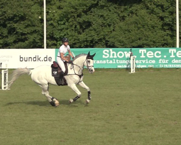 Reitturnier Scharnebeck 2024