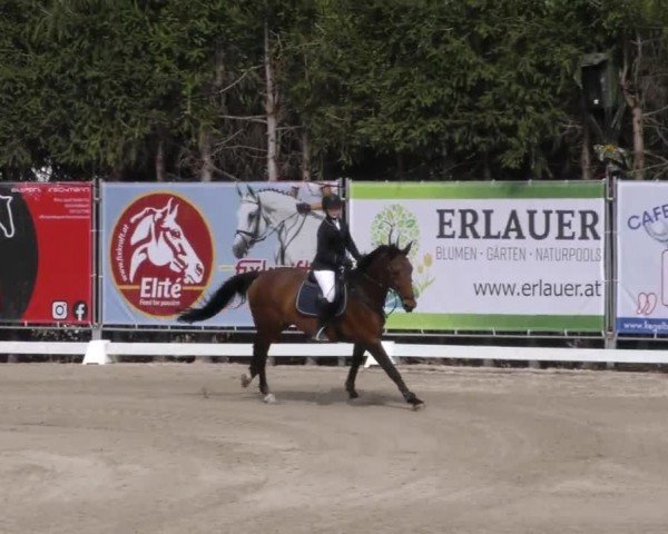 Reitturnier Preding 2022