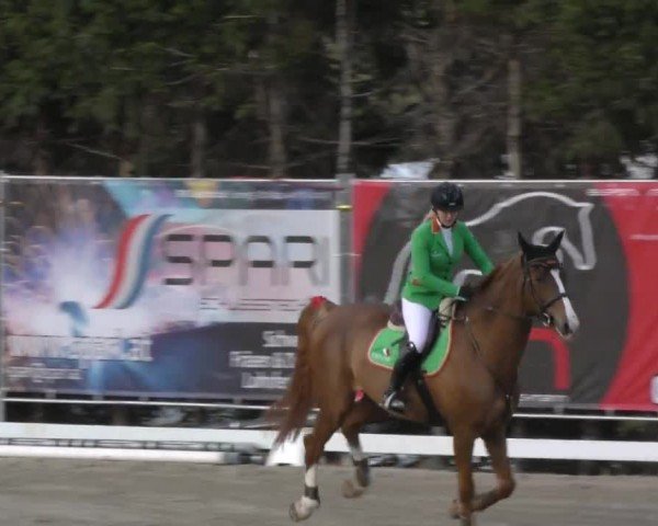 Reitturnier Preding 2022