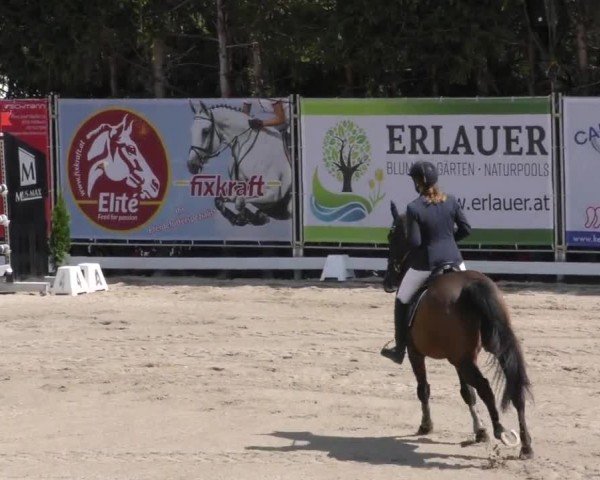 Reitturnier Preding 2022