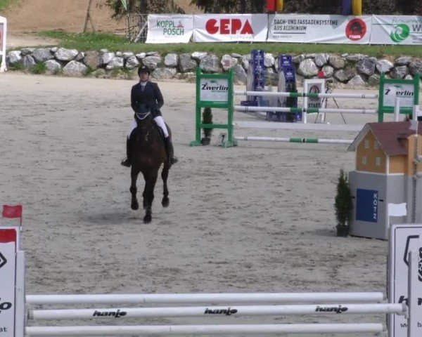 Reitturnier Preding 2022