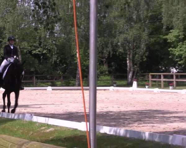 Reitturnier Lienen 2024