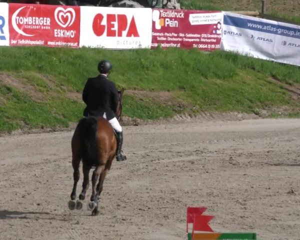 Reitturnier Preding 2022