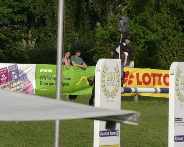 Reitturnier Wilkenburg 2024