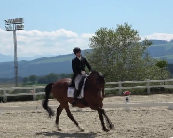Reitturnier St. Margarethen 2024