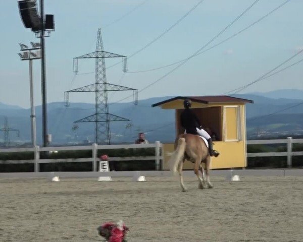 Reitturnier St. Margarethen 2024