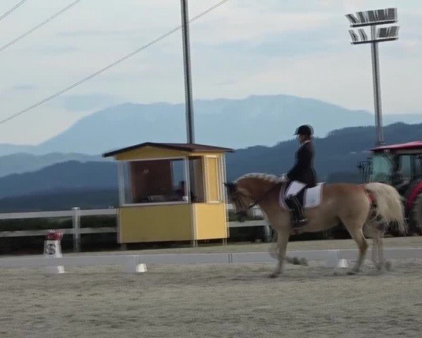 Reitturnier St. Margarethen 2024