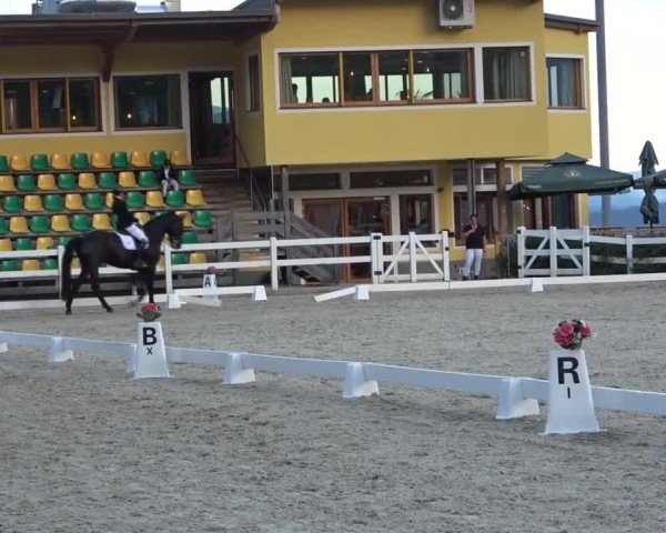 Reitturnier St. Margarethen 2024