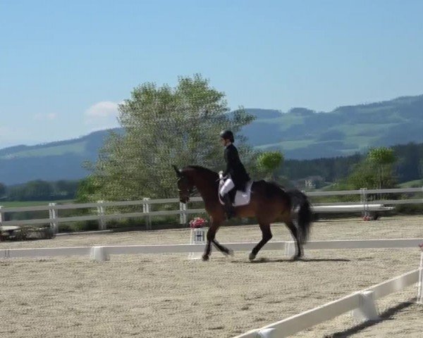 Reitturnier St. Margarethen 2024