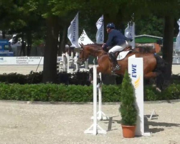 Weser Ems Meisterschaften Cloppenburg 2012