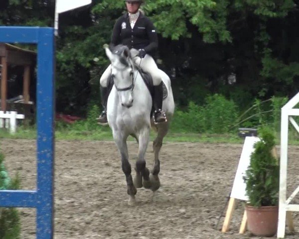 Reitturnier Klagenfurt 2022