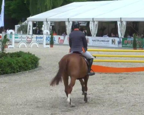 Weser Ems Meisterschaften Cloppenburg 2012