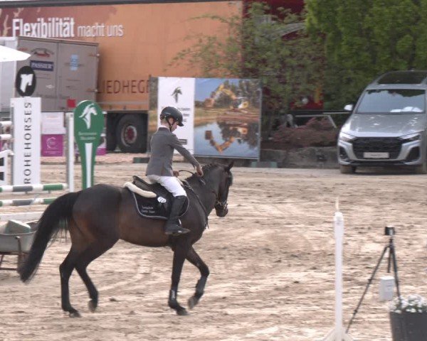 Reitturnier Hellefeld 2024