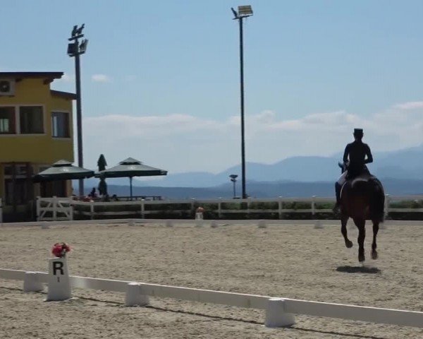 Reitturnier St. Margarethen 2024