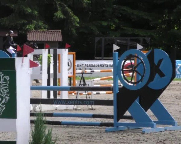 Reitturnier Deutschlandsberg 2022