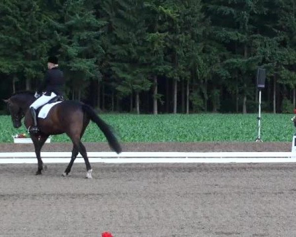 Weser Ems Meisterschaften Cloppenburg 2012