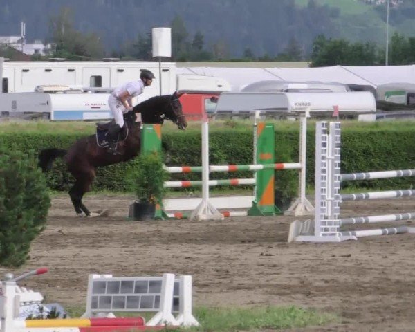 Reitturnier Sachendorf 2022