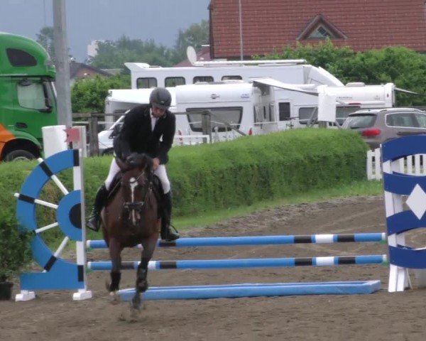 Reitturnier Sachendorf 2022